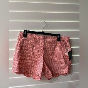 Paraphrase NWT Orange/White Geometric Women's Shorts Size-6